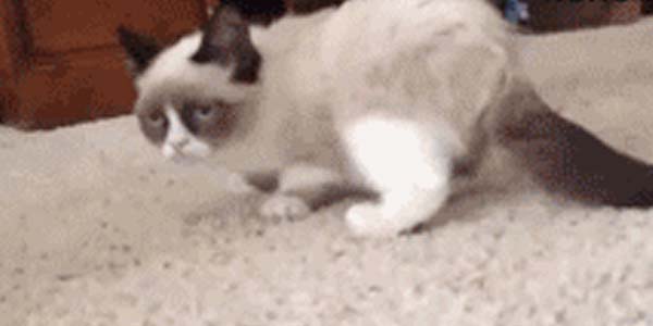 Quand on me demande si je suis chaud pour me déplacer chez un client