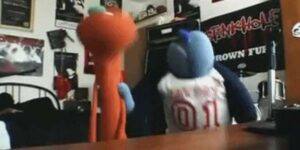 Quand le stagiaire me dit que "les tests c'est pour les faibles"