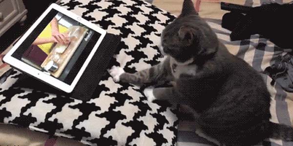 Quand je suis un tuto