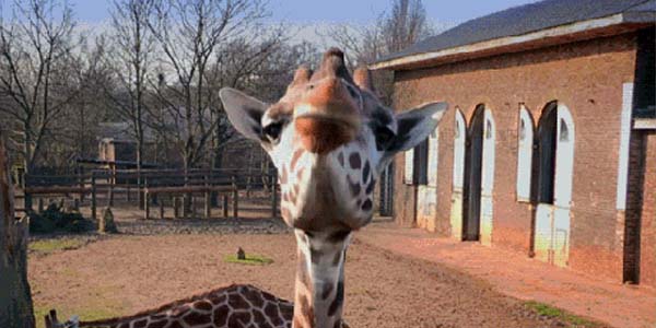 Quand j'entends quelqu'un prononcer mon nom dans l'open space