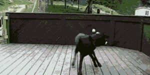 Quand j'ouvre l'outil de support le lundi matin et que je vois tous les tickets que je dois traiter