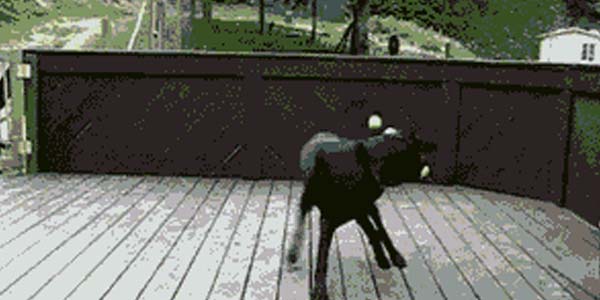 Quand j'ouvre l'outil de support le lundi matin et que je vois tous les tickets que je dois traiter