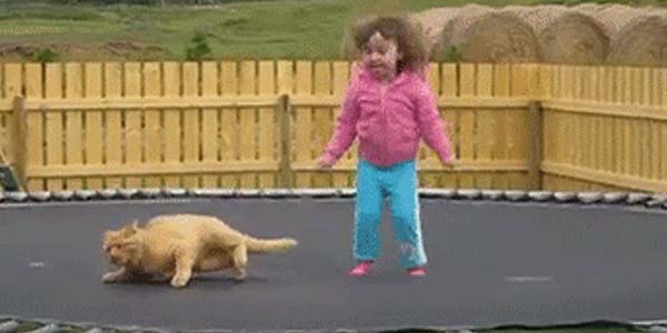 Quand le PO commence à tester mon dev