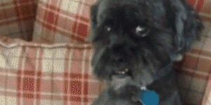 Quand un collègue vient me voir à mon bureau et que j'ai pas le temps de changer d'onglet