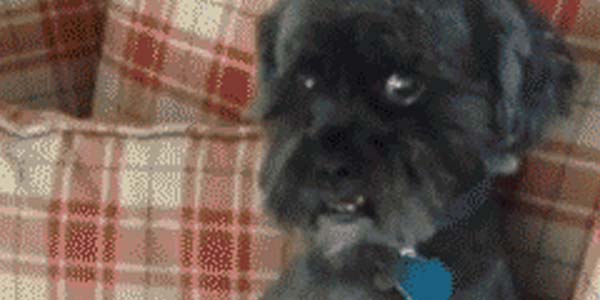 Quand un collègue vient me voir à mon bureau et que j'ai pas le temps de changer d'onglet