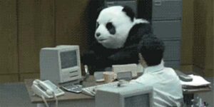 Quand on me demande si je peux m'occuper du CSS