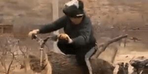 Quand le client me présente fièrement son framework maison