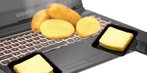 Ça tombe bien c'est la saison !