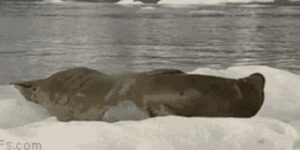 Quand je me rends compte que le chef me regarde travailler à travers la vitre