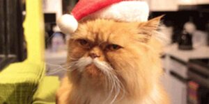 Quand je suis seul au bureau pendant les fêtes