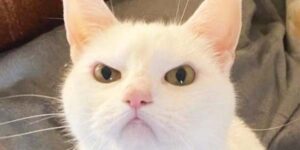 Quand ça veut pas, ça veut pas