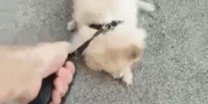 Quand je dois retourner sur mon code tout bugué le lundi matin