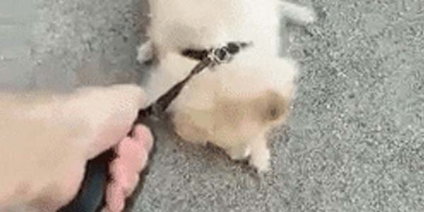 Quand je dois retourner sur mon code tout bugué le lundi matin