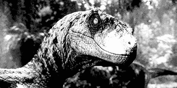 Quand le lead dev décide de s'intéresser à mon code