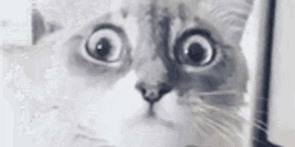 Quand je réalise que mon delete n'a pas été fait dans le bon environnement