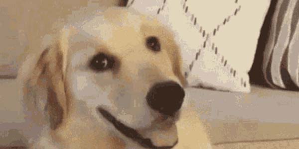 Quand on me demande si j'ai bien testé ma nouvelle fonctionnalité