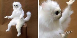 Oh non mais le relou eh