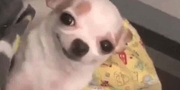 Quand on me demande si j'ai bien rédigé la doc