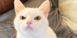 "Au fait, tu verras, j'ai modifié 2-3 trucs"