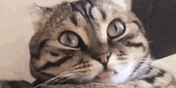 Quand je rejoins le daily depuis mon smartphone et que j'ai oublié de couper la caméra