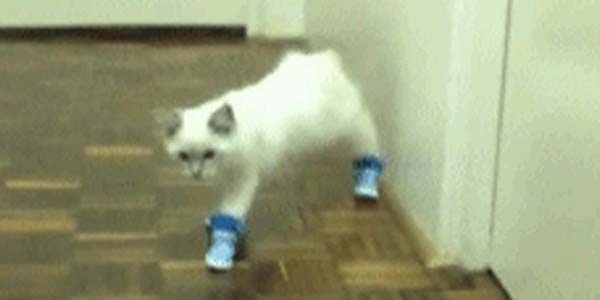 Quand j'essaie d'écrire une regex