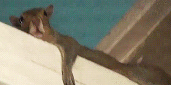 Quand on me lance sur un projet dont je ne connais pas la techno