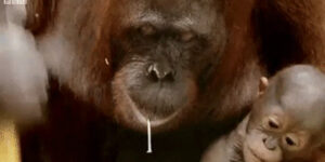 Quand je regarde ce que l'utilisateur fait avec l'appli