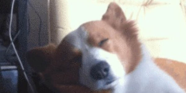 Quand le chef demande mon avis en réunion alors que j'écoutais rien