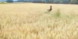 Quand on me demande de commencer à coder alors que le projet n'est pas encore cadré