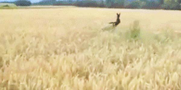 Quand on me demande de commencer à coder alors que le projet n'est pas encore cadré