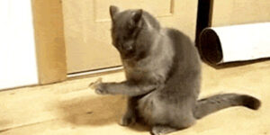 Quand je reçois un ticket avec juste écrit "ça marche pas"