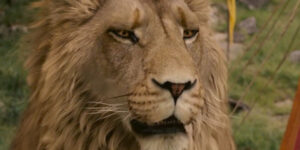 L'expérience, ça joue beaucoup