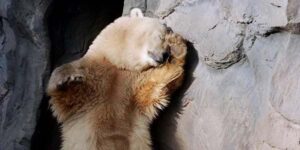 Perdre 2 sur chaque oeil