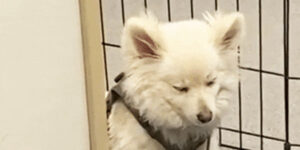 Quand je retourne sur mon projet après deux semaines de vacances