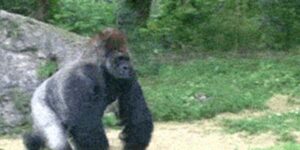 Quand je vois que le commercial est à la machine à café