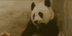 Quand je découvre combien le projet a été vendu