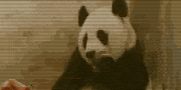 Quand je découvre combien le projet a été vendu