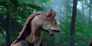 Pardon Quissa es-tissa?