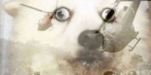 Ça va balance très fort