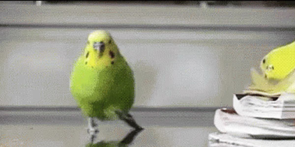 Quand je quitte le bureau après avoir cassé la prod