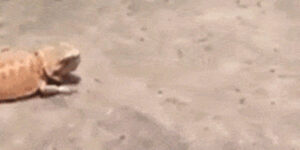 Quand le chef vient me voir pour "un sujet très urgent" le vendredi matin