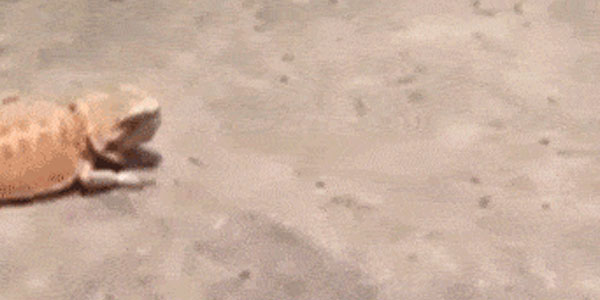 Quand le chef vient me voir pour "un sujet très urgent" le vendredi matin