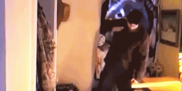 Quand j'exécute du code copié en ligne sans avoir cherché à le comprendre