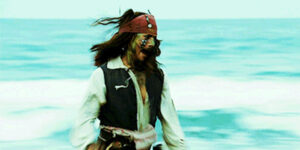 Quand je suis le seul dev dispo et qu'on ouvre l'appli aux utilisateurs