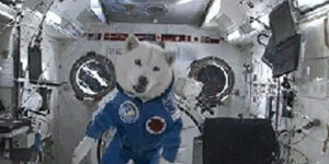 Quand on me demande de commencer à coder alors que le projet n'est pas du tout cadré