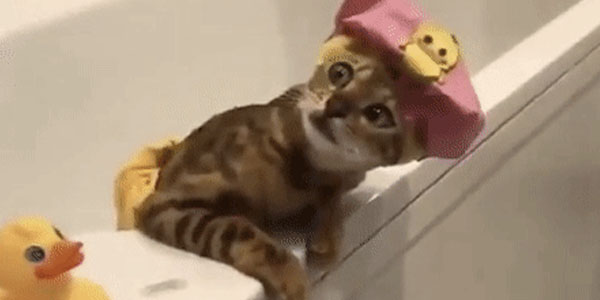 Quand je vois à quoi ressemble le projet à mon retour de vacances