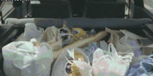 Quand je récupère la maintenance de tous les projets d'un collègue qui part en vacances pour un mois