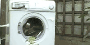 Quand j'ajoute une ligne de code trouvée en ligne à mon projet