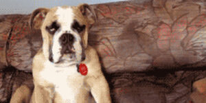 Quand je jette un oeil à ma boîte mail à mon retour de vacances