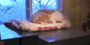 Quand j'ai commité mes updates de test et que je me rends compte que j'étais sur la base de prod